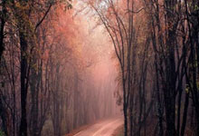 空压热回收节能方案有哪些,空压热回收系统工作流程