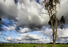 节能方案范本简单免费,节能方案模板